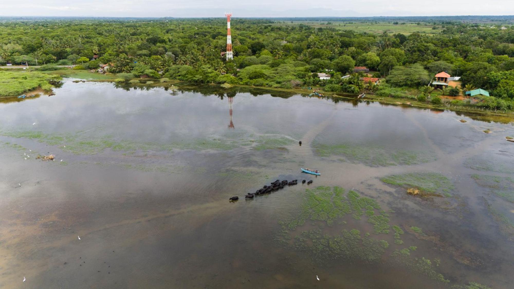 Bundala Flamingo Cotteges Otel Hambantota Dış mekan fotoğraf