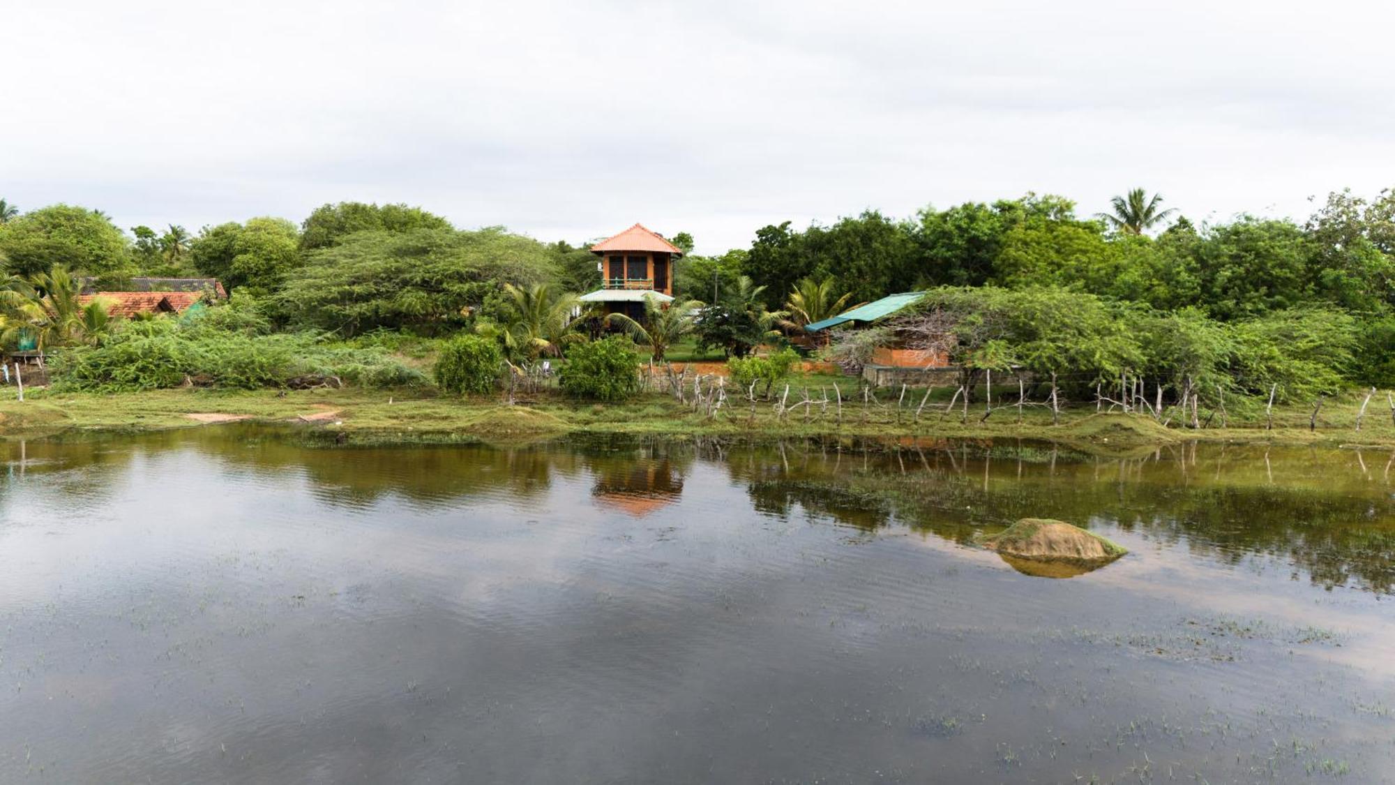 Bundala Flamingo Cotteges Otel Hambantota Dış mekan fotoğraf